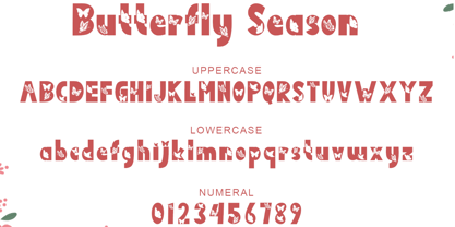 Butterfly Season Font Poster 5
