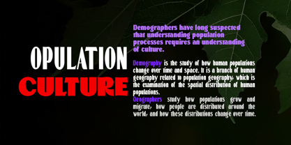 Ballacks Font Poster 3