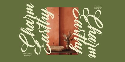 Rushed Elegance Font Poster 11