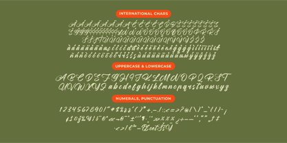 Rushed Elegance Font Poster 14