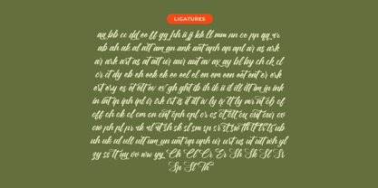 Rushed Elegance Font Poster 15