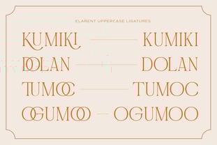 Ophirra Font Poster 5