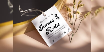 Lougiet Guina Font Poster 12