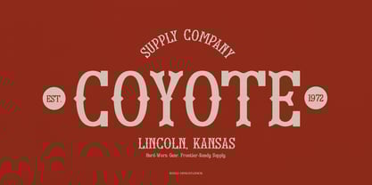 Drexia Font Poster 3