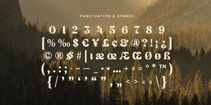 Velmora Font Poster 13