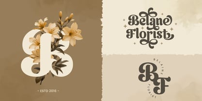 Velmora Font Poster 5