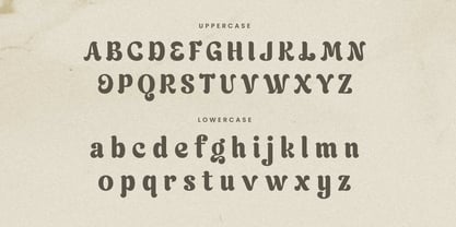 Velmora Font Poster 12