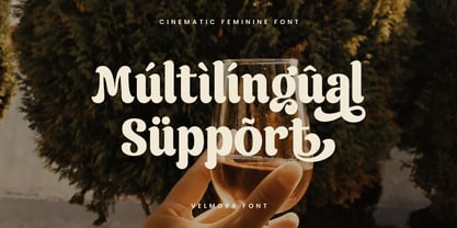 Velmora Font Poster 14