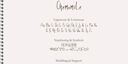 Chemomile Font Poster 9