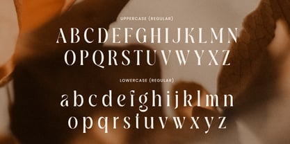 Regalia SS Font Poster 10