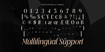 Regalia SS Font Poster 11