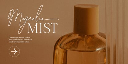 Sainthesa Font Poster 7