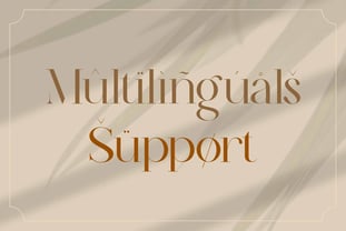 Nolira Font Poster 4