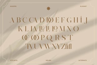 Nolira Font Poster 3