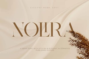 Nolira Font Poster 1