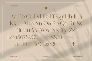 Nolira Font Poster 2