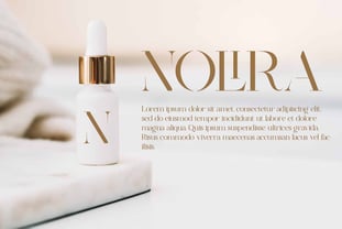 Nolira Font Poster 7