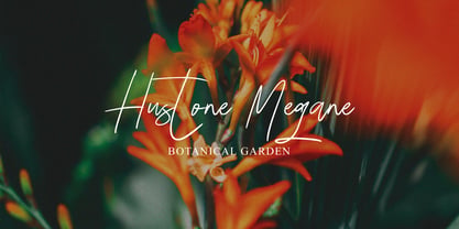 Grimetta Signature Font Poster 9