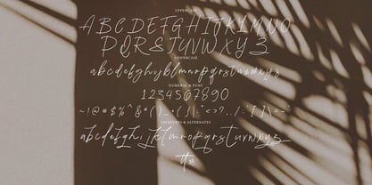Grimetta Signature Font Poster 8