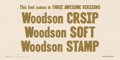 Woodson Font Poster 14