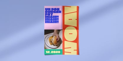 PNY Sans Font Poster 5