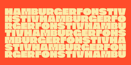 PNY Sans Font Poster 4