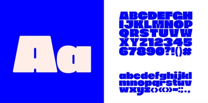PNY Sans Font Poster 2