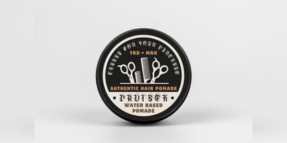 Pavisek Font Poster 13