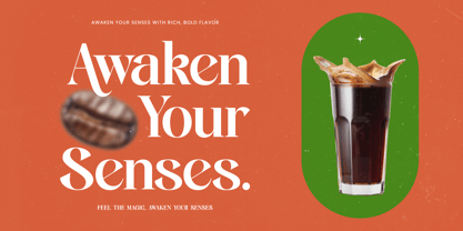 Single Robusta Font Poster 3