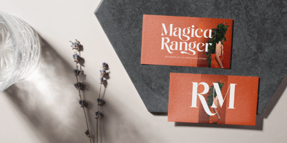 Single Robusta Font Poster 11