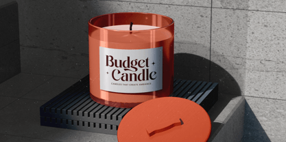 Single Robusta Font Poster 6