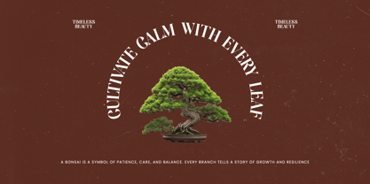 Single Robusta Font Poster 2