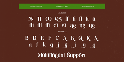 Single Robusta Font Poster 15