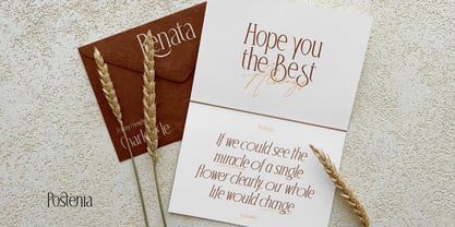 Postenia Font Poster 10
