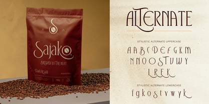 Postenia Font Poster 8