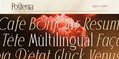 Postenia Font Poster 11