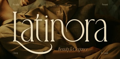 Postenia Font Poster 3