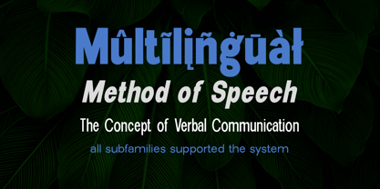 New Trusty Font Poster 4