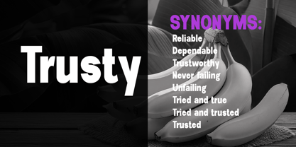 New Trusty Font Poster 5