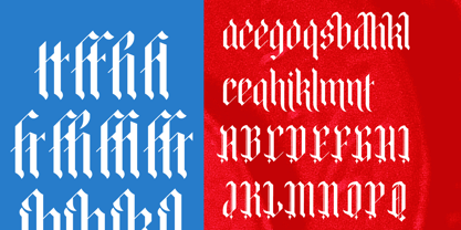 Bold Riot Font Poster 14