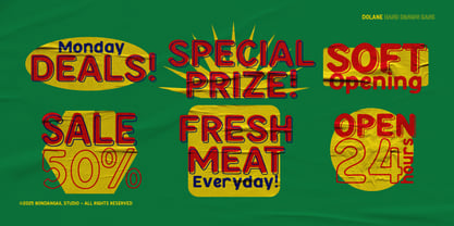 Dolane Font Poster 3