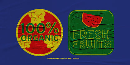 Dolane Font Poster 4