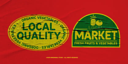 Dolane Font Poster 2