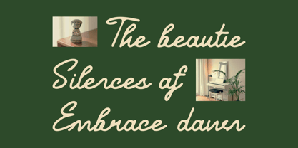 Senley Font Poster 3