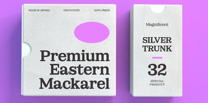 Sailer Font Poster 14