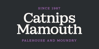 Sailer Font Poster 9