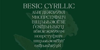 Cardinal Flower Font Poster 10