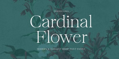 Cardinal Flower Font Poster 1