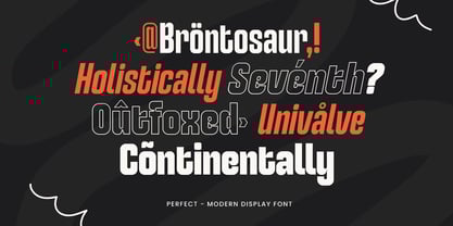 Perfect SS Font Poster 7