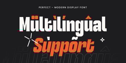 Perfect SS Font Poster 12